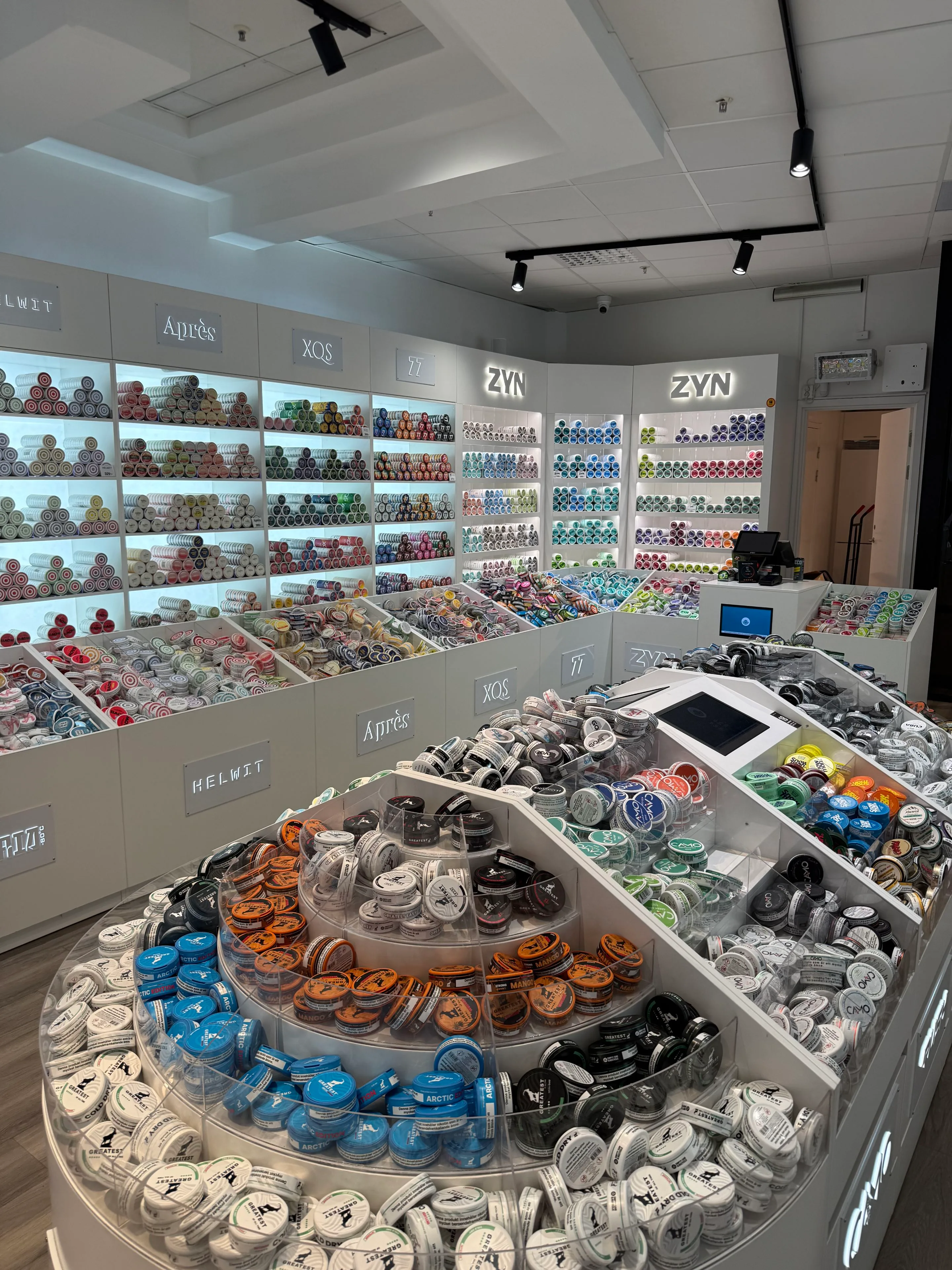 zyn factory