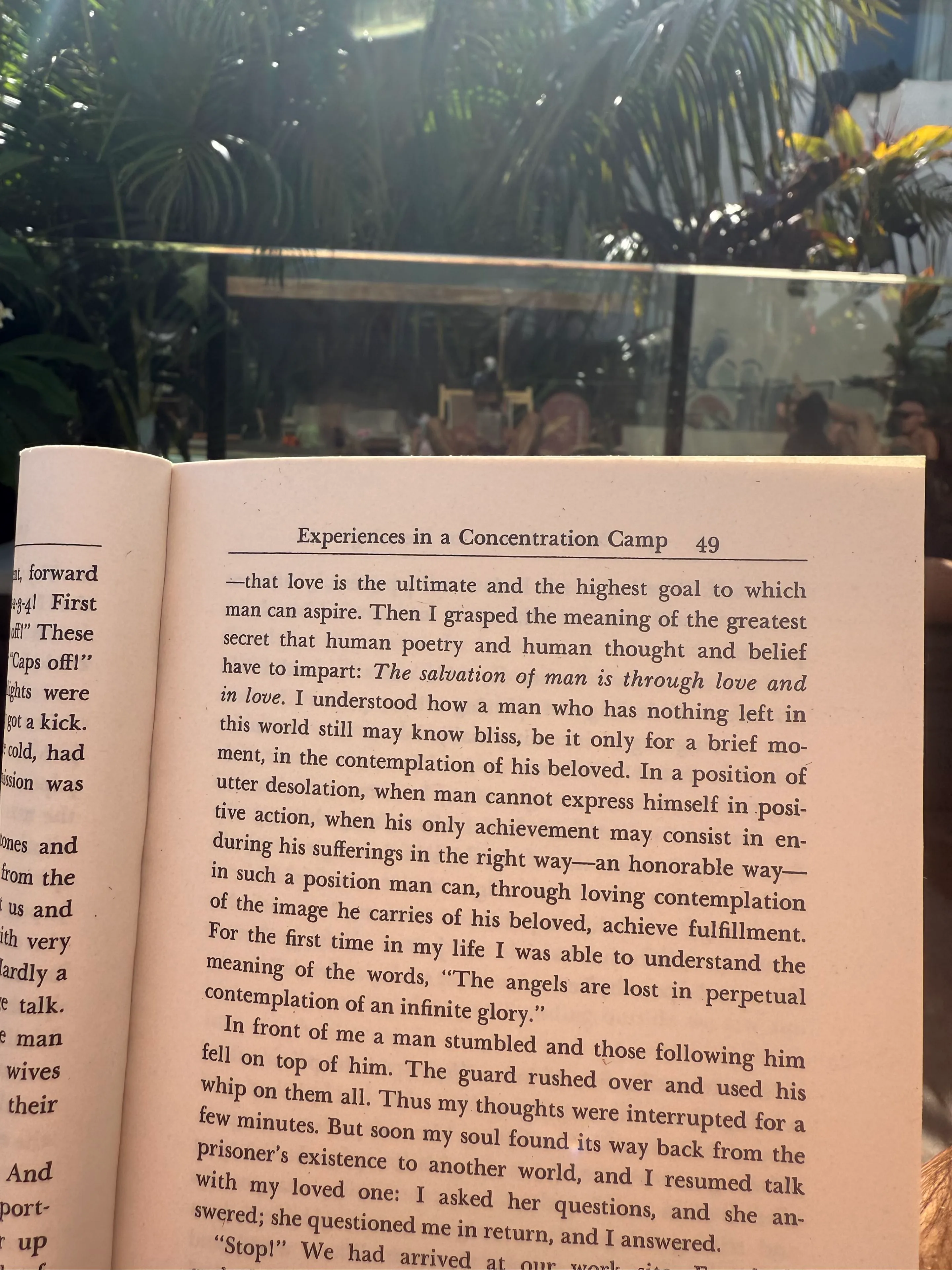 experiences in a concentration camp