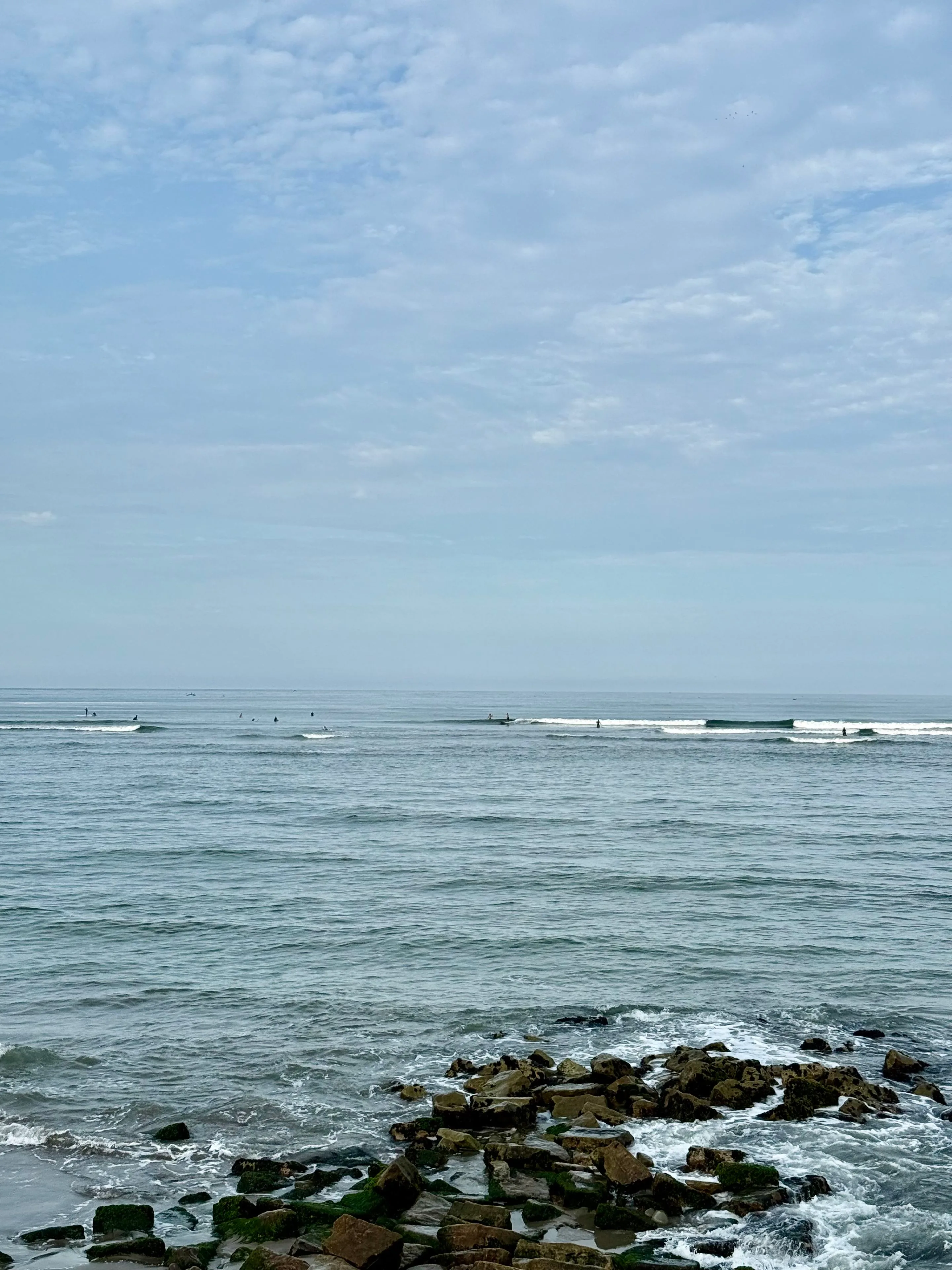 surfing?