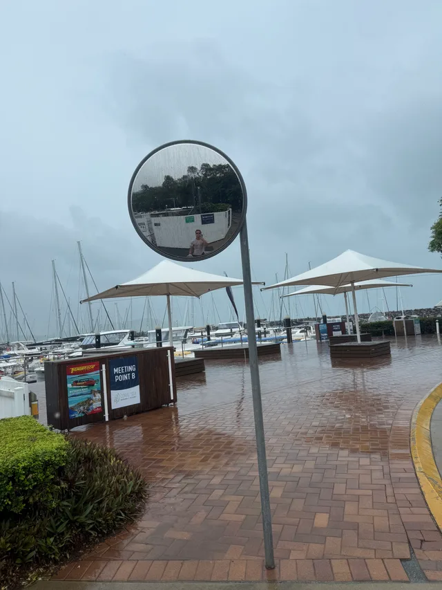 tropical cyclone