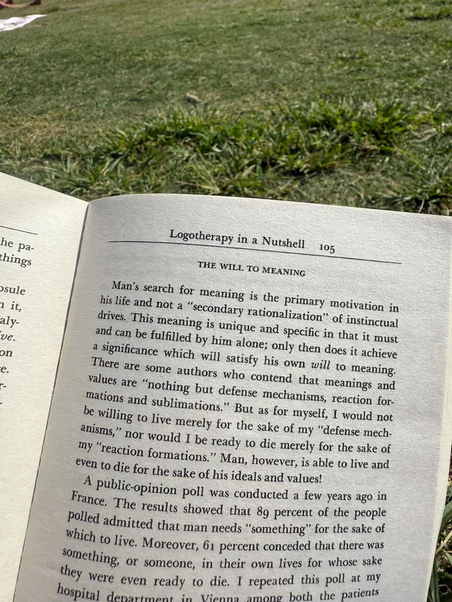will to meaning