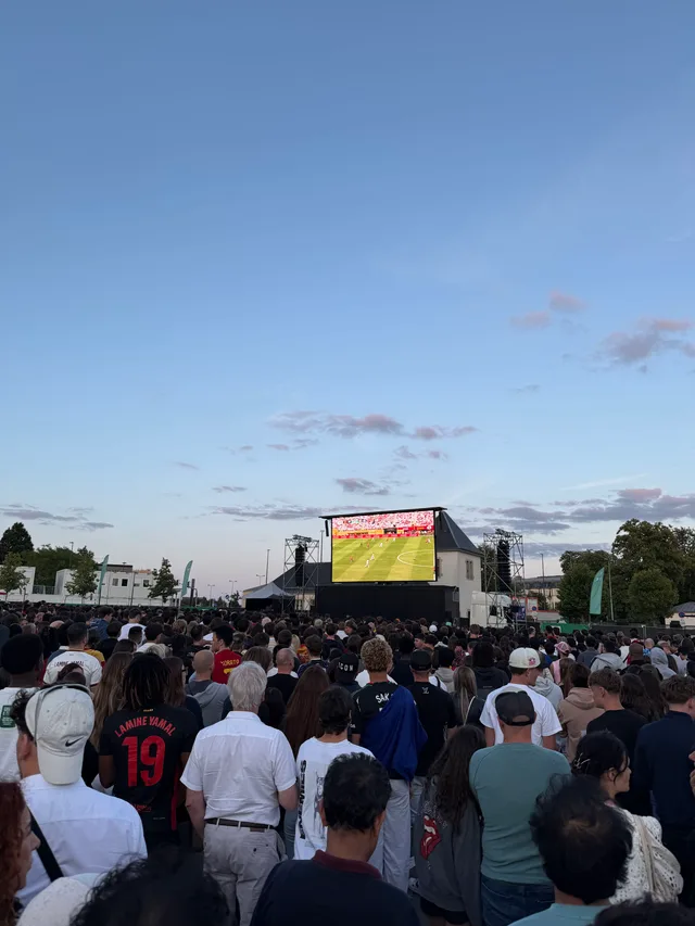 world cup final